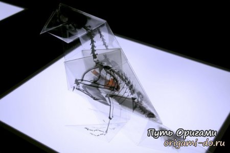 Прозрачные оригами от Такаюки Хори