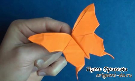 Схема оригами бабочки от Джереми Шафера