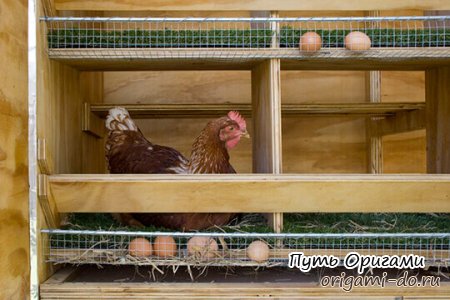 ��������� ��� ������: �������� ����, ������ ���������